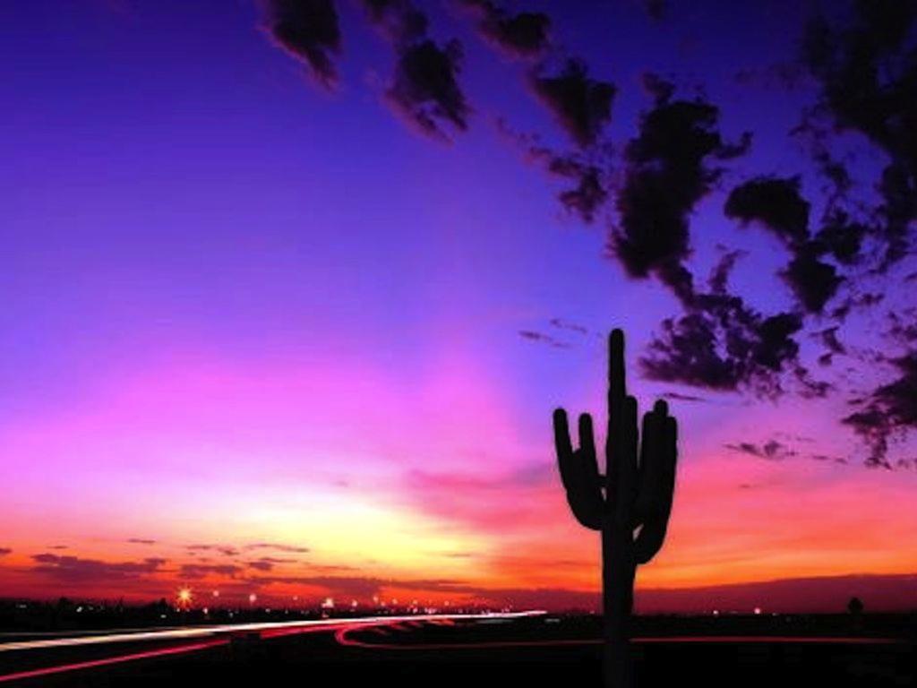 Private Resort Community -- ½ Mile Walk To Hiking & Biking At N. Mtn. Preserve! Phoenix Exteriér fotografie
